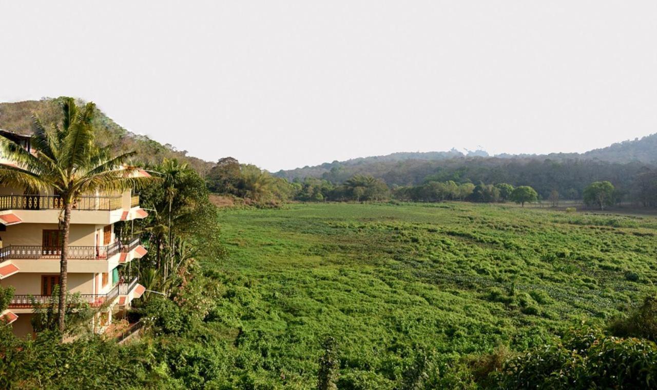 Jungle Palace Homestay Thekkady Bagian luar foto