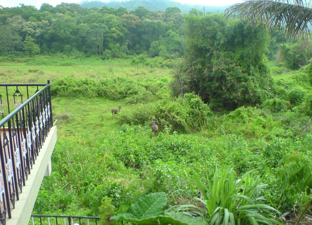Jungle Palace Homestay Thekkady Bagian luar foto